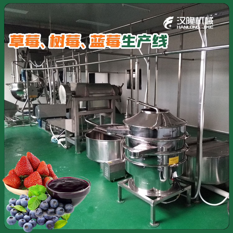 供应成套大中小型蓝莓、树莓、草莓汁生产线生产线全自动设备【厂家供应】